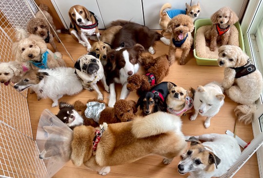 生き物ルーム第46