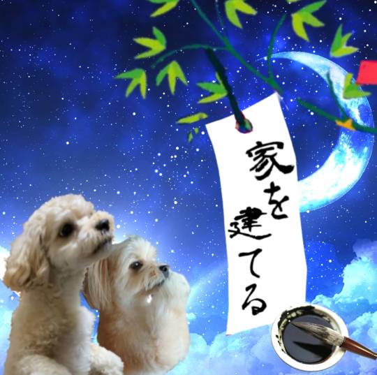 生き物ルーム第46