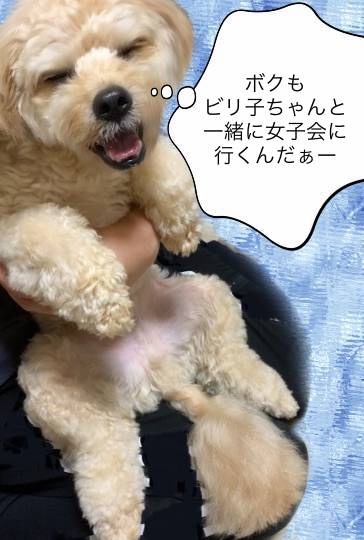 生き物ルーム第46