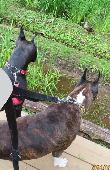 生き物ルーム第46