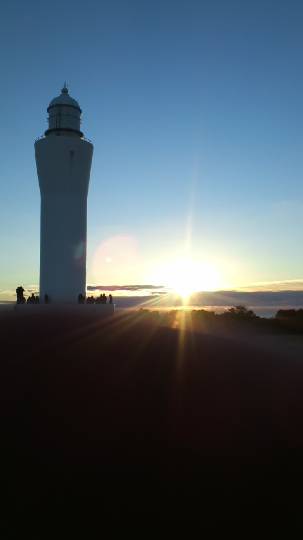 生き物ルーム第46