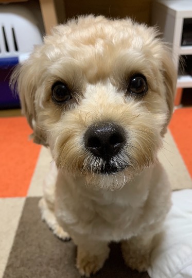 生き物ルーム第46