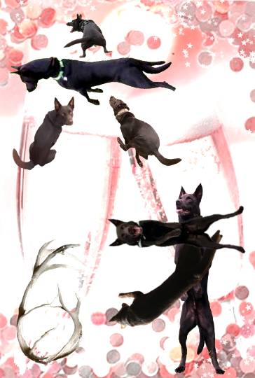 生き物ルーム第46