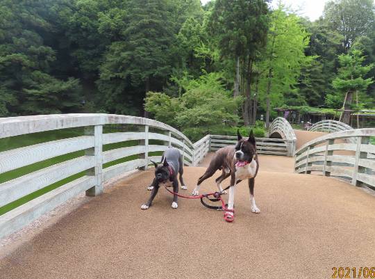 生き物ルーム第46