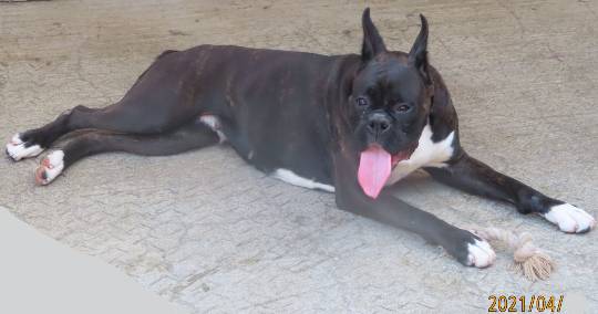 生き物ルーム第46