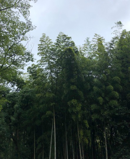 ★ドンキ♡♡ロピア 雑談38★