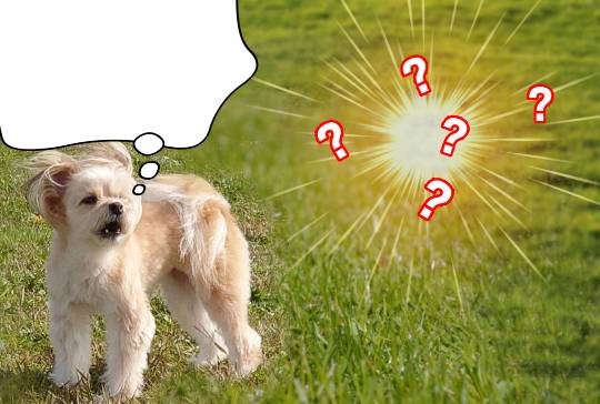 生き物ルーム第46