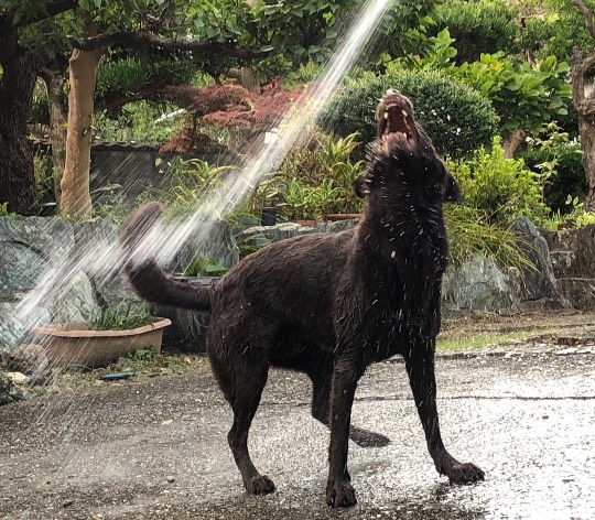 生き物ルーム第47