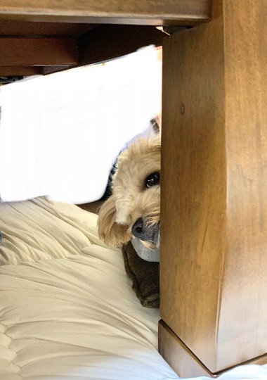 生き物ルーム第46