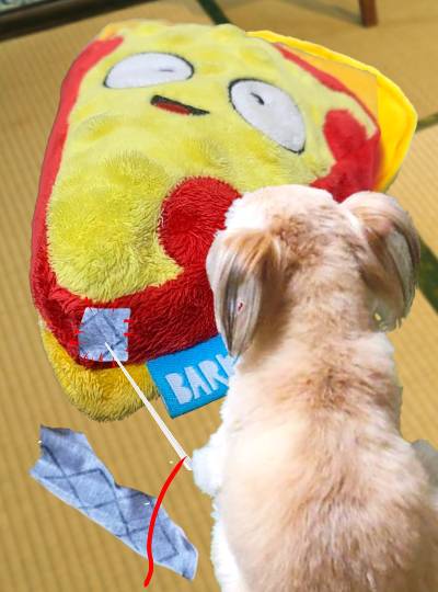 生き物ルーム第46