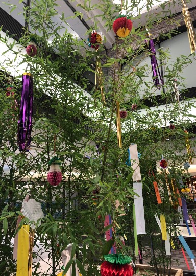 ★ドンキ♡♡ロピア 雑談38★