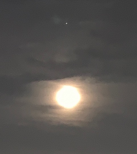 ★ドンキ♡♡ロピア 雑談43★