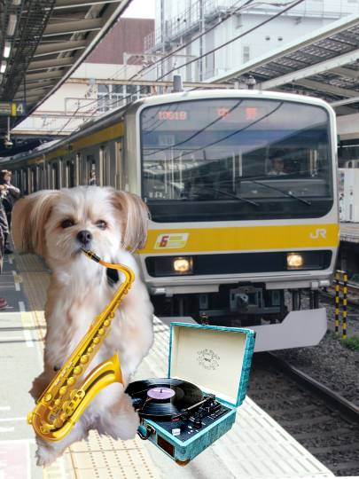 生き物ルーム第48