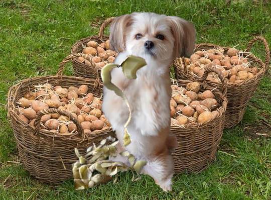 生き物ルーム第48