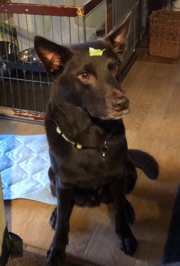 生き物ルーム第48