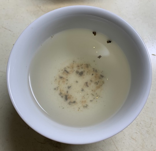 生き物ルーム第48