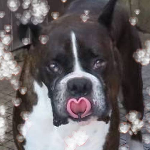 生き物ルーム第48