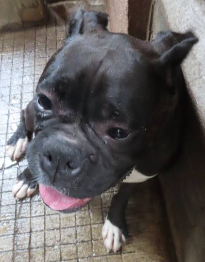 生き物ルーム第48