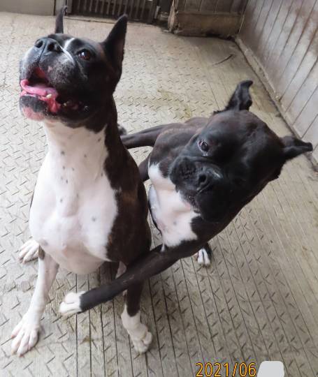 生き物ルーム第48