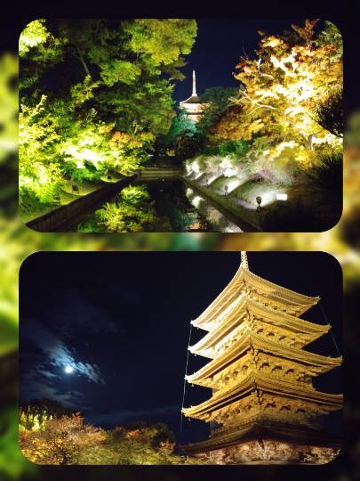 ★ドンキ♡♡ロピア 雑談43★