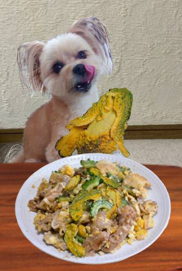 生き物ルーム第48