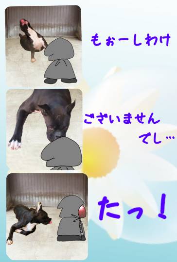 生き物ルーム第48