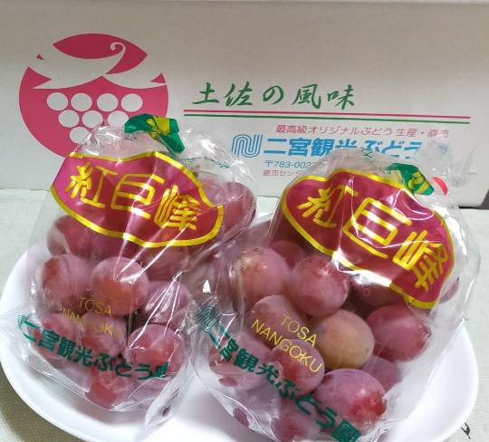 EGG'S CAFE イイ表情お願いしますぅ~♪