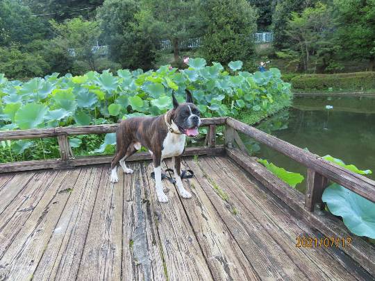 生き物ルーム第48