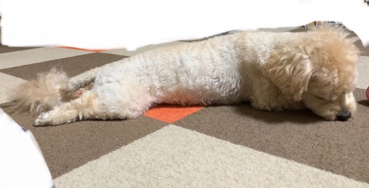 生き物ルーム第48