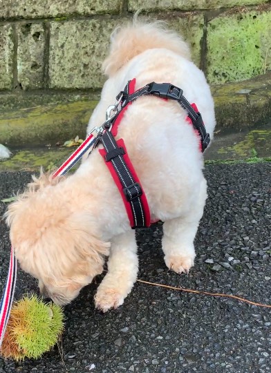 生き物ルーム第48