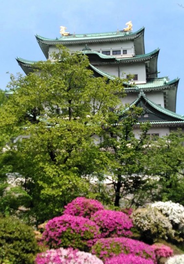 ★ドンキ♡♡ロピア 雑談43★