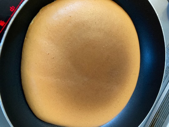 生き物ルーム第48