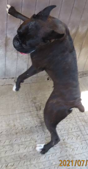 生き物ルーム第48