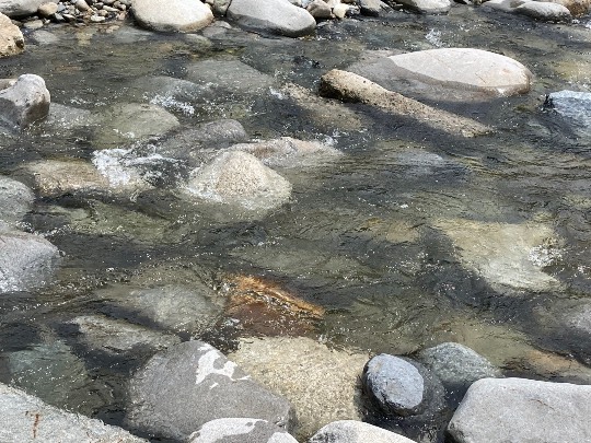 あつまれ‼︎雑談&ゲーム好きの森 season2#5 ドンとなった花火だ きれいだな〜♪♪