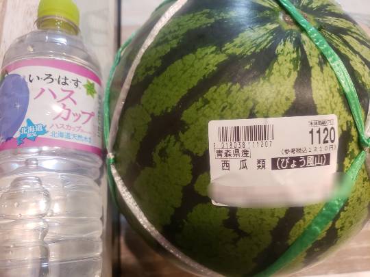 マスク同窓会詰所兼ニューフェイス歓迎所28(絆)