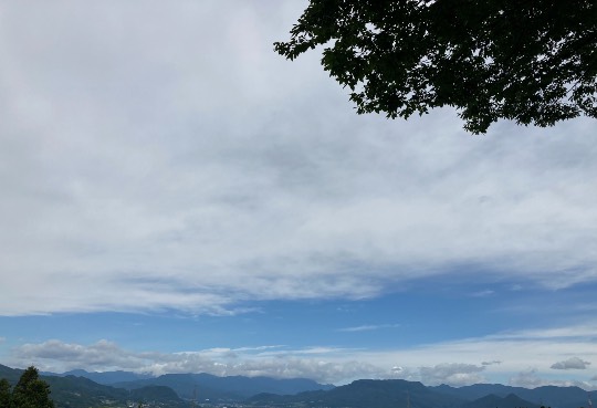 あつまれ‼︎雑談&ゲーム好きの森 season2#5 ドンとなった花火だ きれいだな〜♪♪