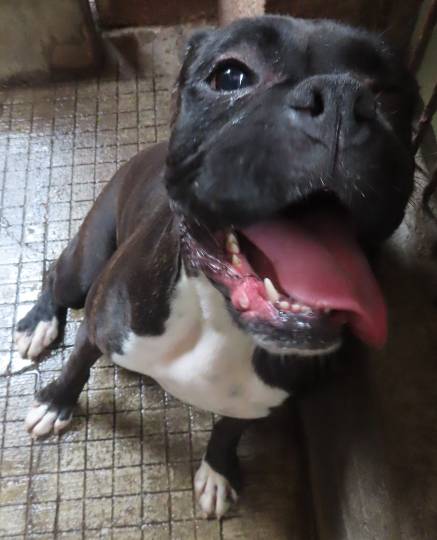 生き物ルーム第48