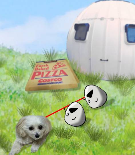 生き物ルーム第47