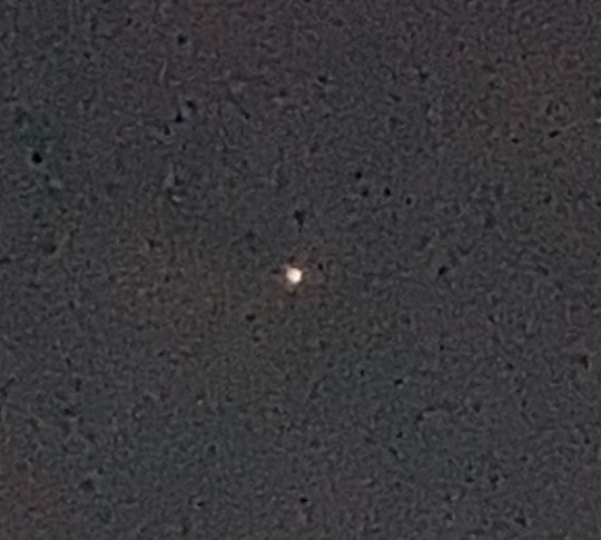 あつまれ‼︎雑談&ゲーム好きの森 season2#5 ドンとなった花火だ きれいだな〜♪♪