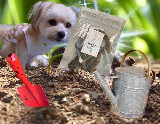 生き物ルーム第48