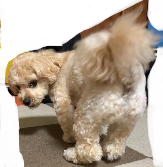 生き物ルーム第48