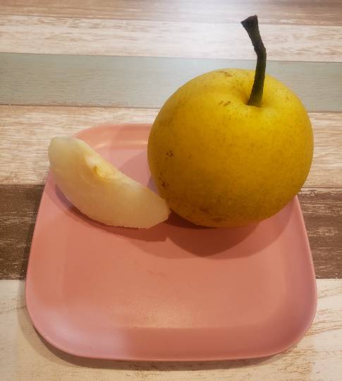 マスク同窓会詰所兼ニューフェイス歓迎所29(希望)