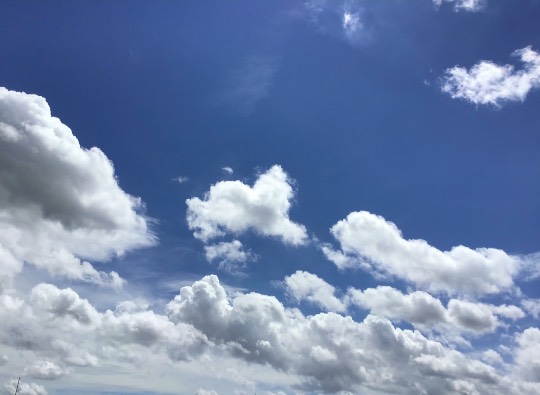 ★ドンキ♡♡ロピア 雑談43★