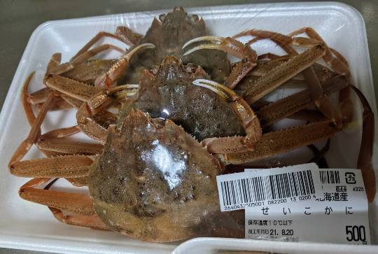 EGG'S CAFE イイ表情お願いしますぅ~♪