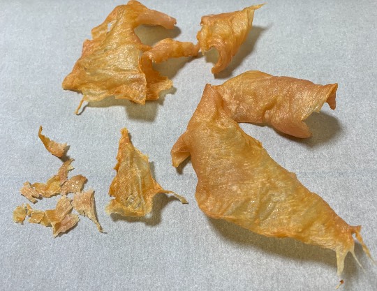 生き物ルーム第48