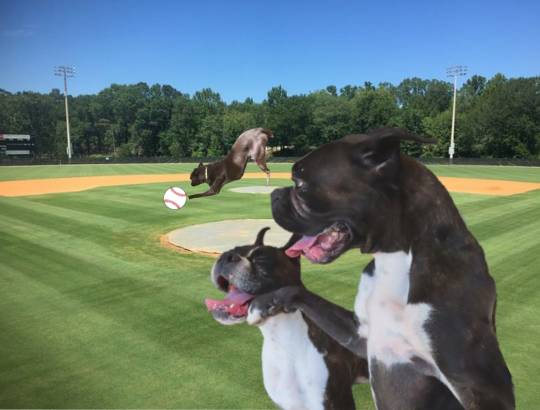 生き物ルーム第48