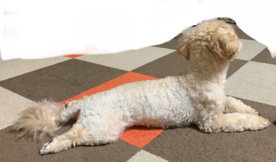 生き物ルーム第48