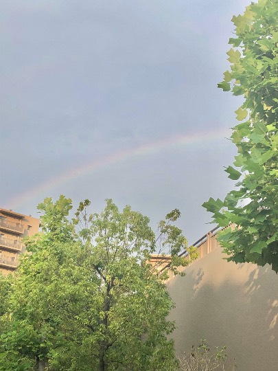 ★ドンキ♡♡ロピア 雑談41★