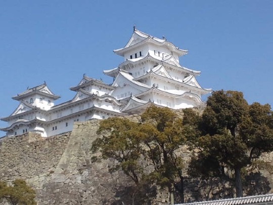 ★ドンキ♡♡ロピア 雑談43★