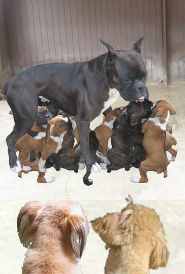 生き物ルーム第48